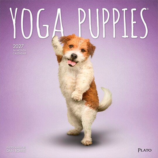 Plato; Yoga Puppies OFFICIAL | 2027 12 x 24 Inch (Hanging) Monthly Square Wall Calendar; Category:Wall Calendars; Image:1